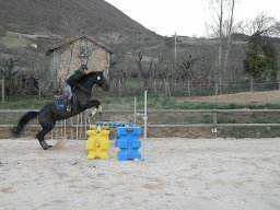 Chevaux